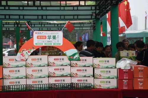 邢臺(tái)農(nóng)特產(chǎn)品熱銷，正餐服務(wù)助推地方經(jīng)濟(jì)