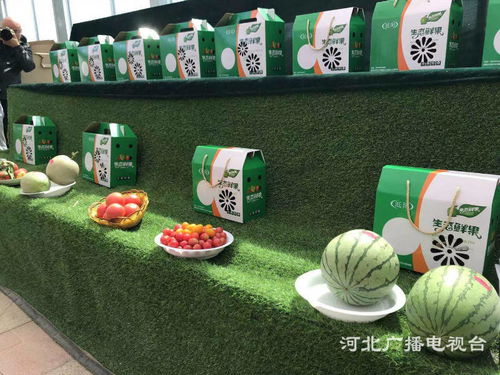 探訪邢臺(tái)臨城的生態(tài)發(fā)展之路與正餐服務(wù)融合